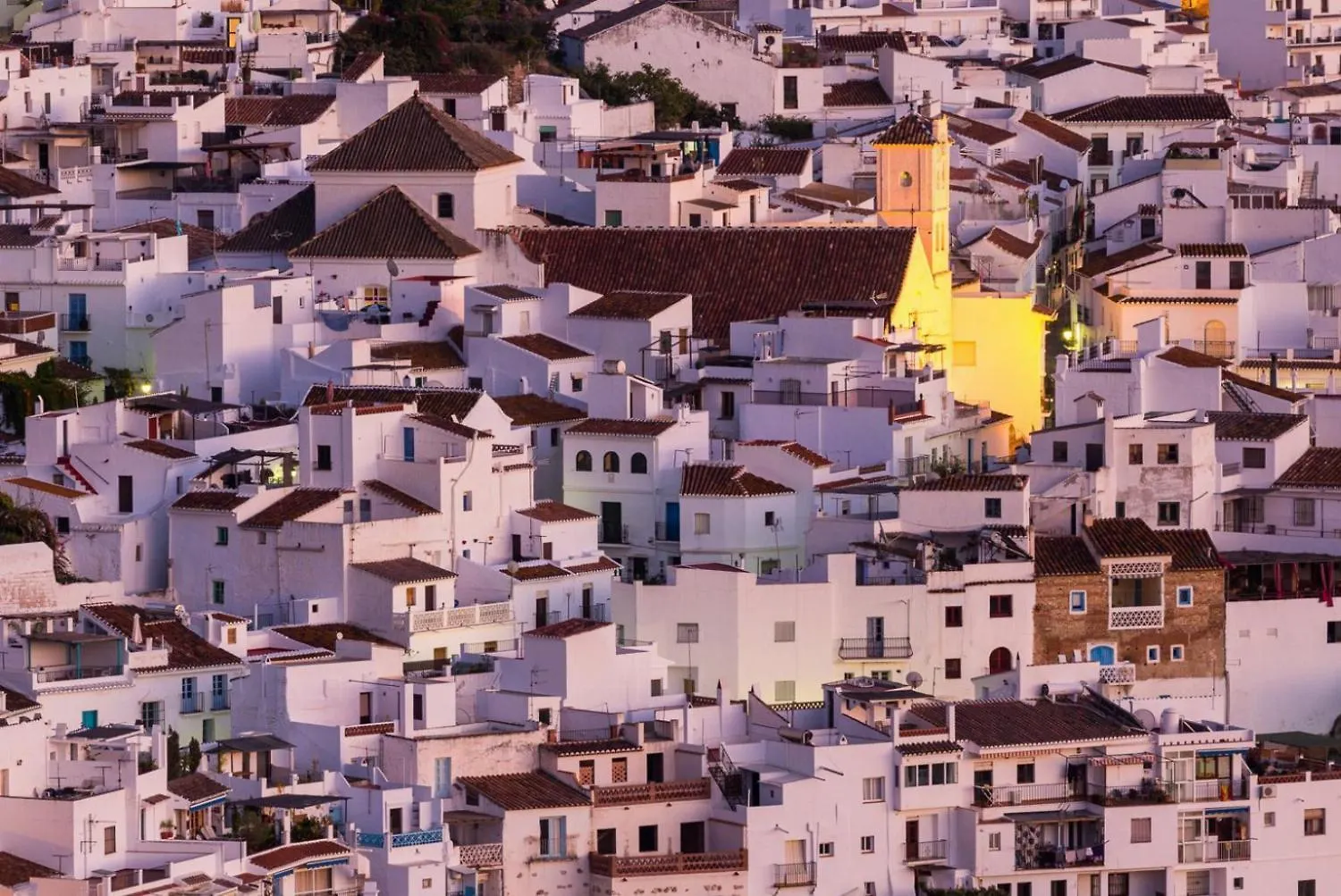 Villa La Higuera Torrox